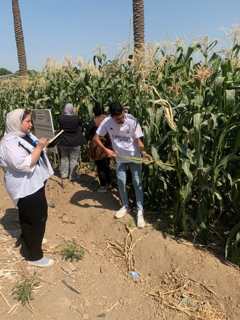 جانب من الدروس العملي لطلبة كلية علوم الهندسة الزراعية