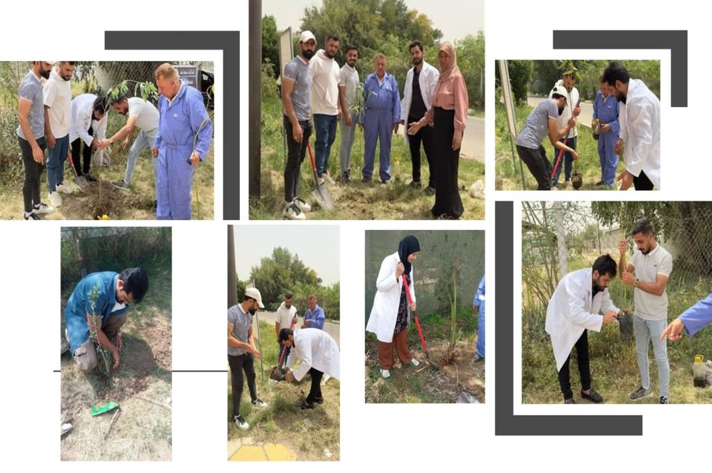 النخيل والزيتون