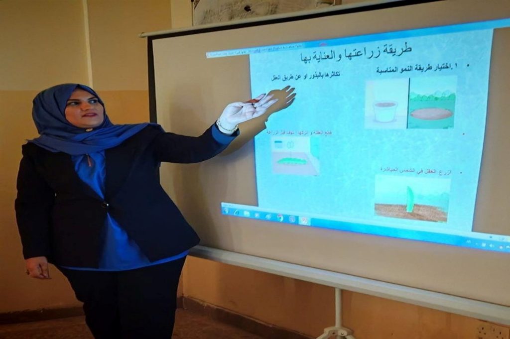 فاكهة التنين