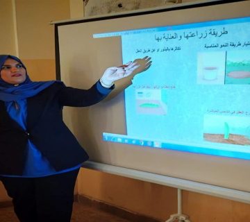 فاكهة التنين