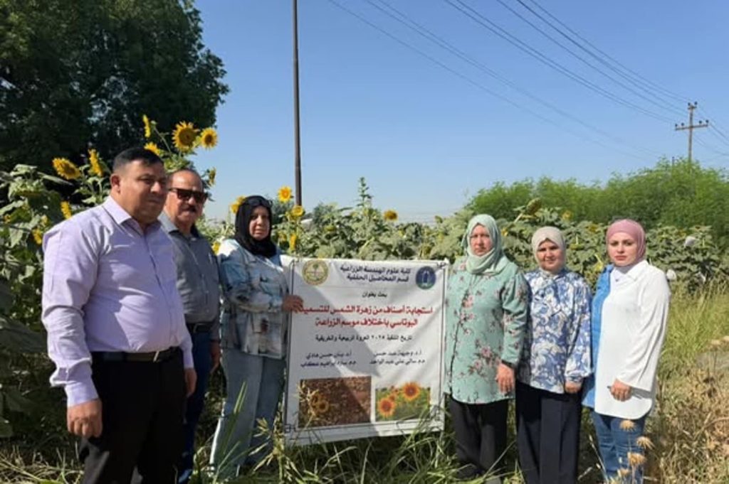 استجابة اصناف زهرة الشمس للتسميد البوتاسي باختلاف موسم الزراعة -بحث تدريسي