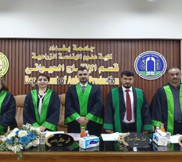 المخلوط العلفي