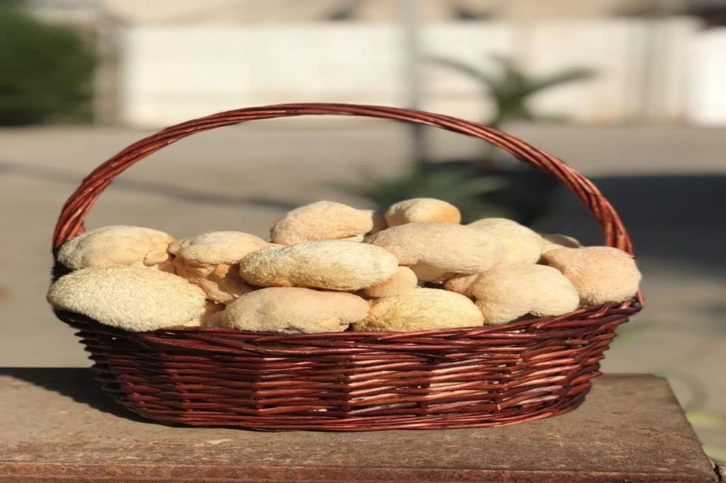 انجاز علمي جديد يسجل لجامعة بغداد