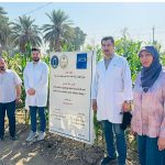 Untitled design(23)(2)