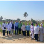 Your paragraph text(24)