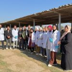 Your paragraph text(64)