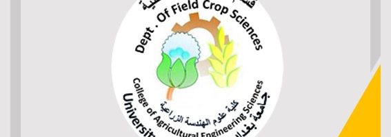 الدراسات العليا