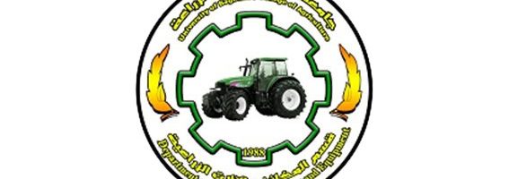الدراسات العليا