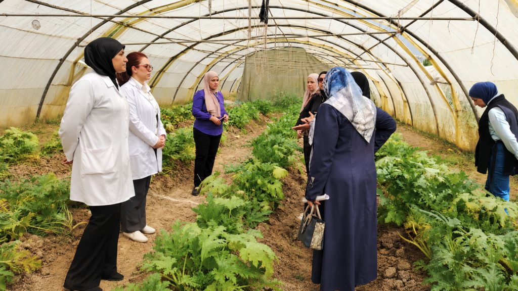 زيارة حقلية لتجربة طالبة ماجستير تبحث تواجد الدعسوقة ذات الثلاثة عشر Hippodamia vargate نقطة الآفات المنتشرة على حقل الشجر
